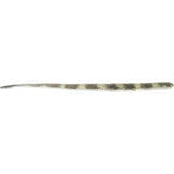 Roboworm FX Straight Tail Worm Bait