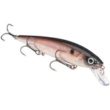 Strike King Lures KVD 300 Series Jerkbait