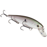 Strike King Lures KVD 300 Series Jerkbait