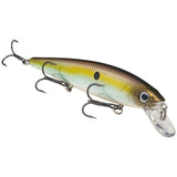 Strike King Lures KVD 300 Series Jerkbait