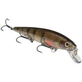 Strike King Lures KVD 300 Series Jerkbait