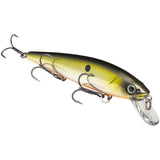 Strike King Lures KVD 300 Series Jerkbait
