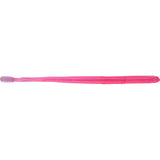 Roboworm Straight Tail Worm Bait