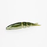 Lake Fork Magic Shad Live 4.5"