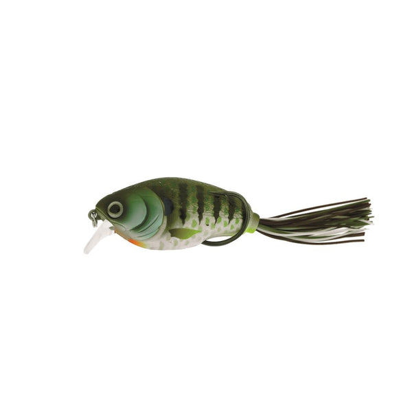 Molix Supernato & Supernato Baby  Top Water Bait